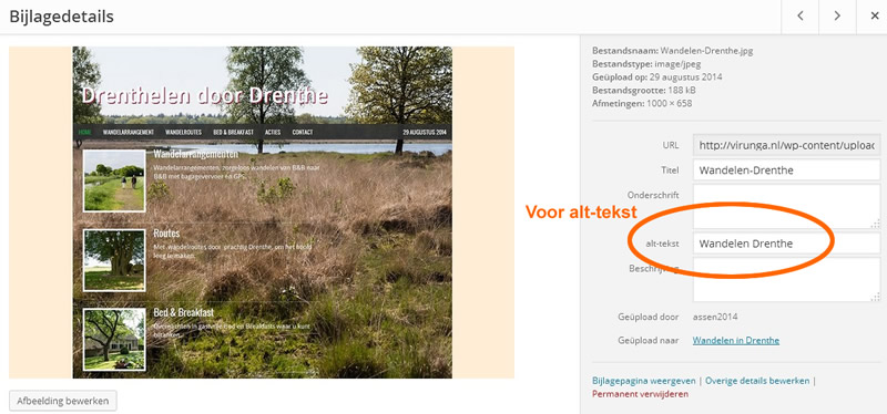 alttekst-wandelen-door-drenteh