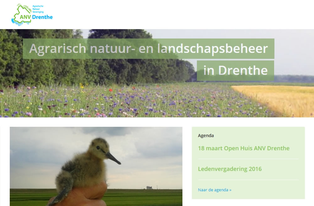WordPress webshop