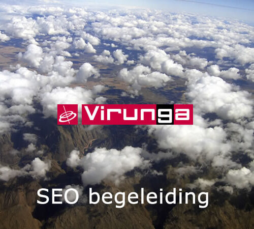 SEO begeleiding (2 uur per maand)